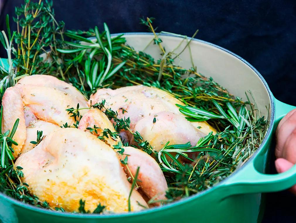 Urterøgede poussiner